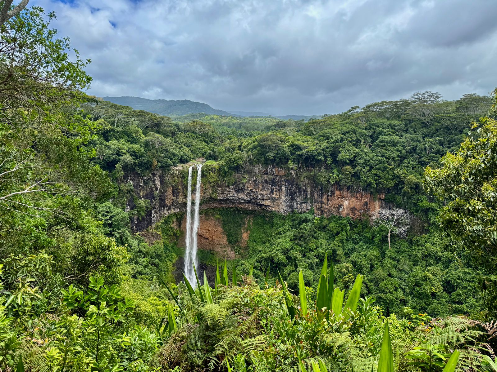 whatsapp image 2026 01 10 at 12.18.58 pm