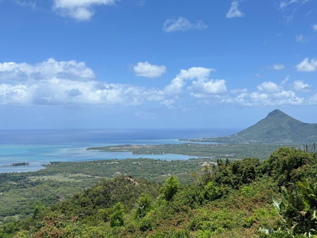 whatsapp image 2026 01 26 at 11.55.20 am