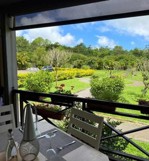 whatsapp image 2025 12 31 at 4.33.50 pm (2)