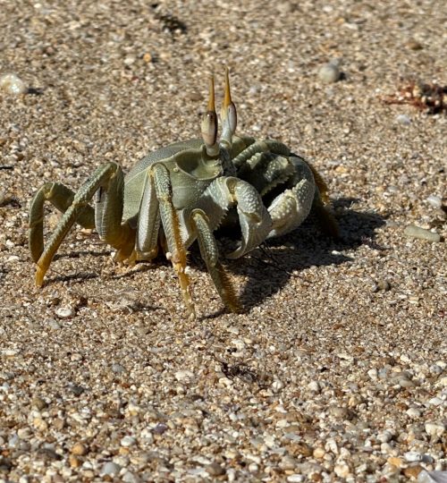 whatsapp image 2025 12 31 at 4.33.51 pm (1)