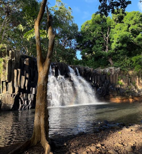 whatsapp image 2025 12 31 at 4.33.51 pm (2)