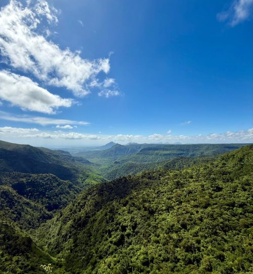 whatsapp image 2025 12 31 at 4.33.51 pm