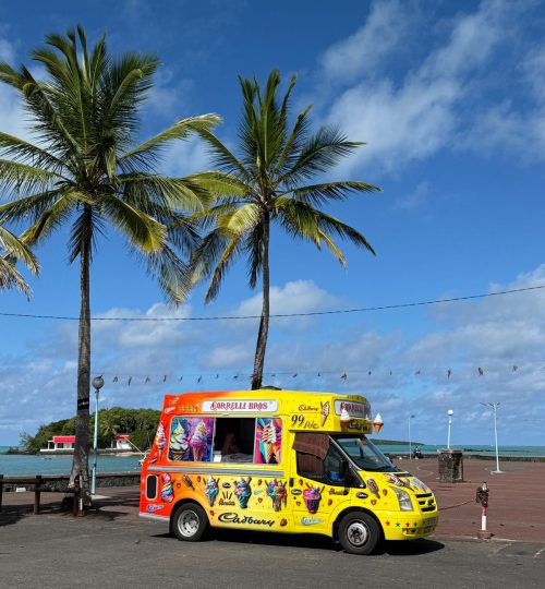 whatsapp image 2025 12 31 at 4.33.52 pm (1)