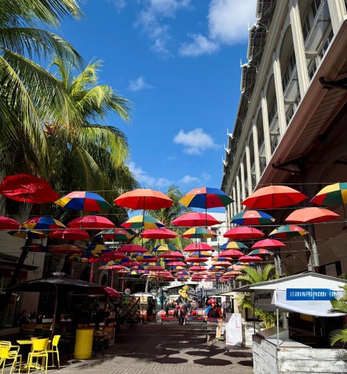 whatsapp image 2025 12 31 at 4.33.52 pm