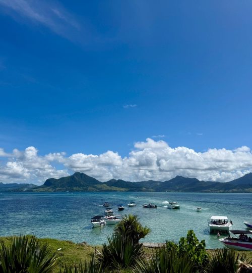 whatsapp image 2025 12 31 at 4.33.53 pm (1)