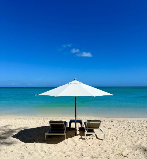 whatsapp image 2025 12 31 at 4.33.54 pm (1)