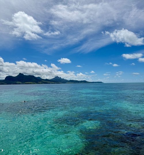 whatsapp image 2025 12 31 at 4.33.54 pm