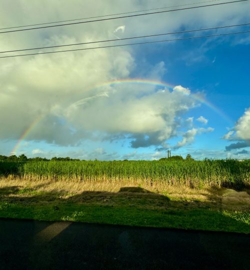 whatsapp image 2025 12 31 at 4.33.55 pm