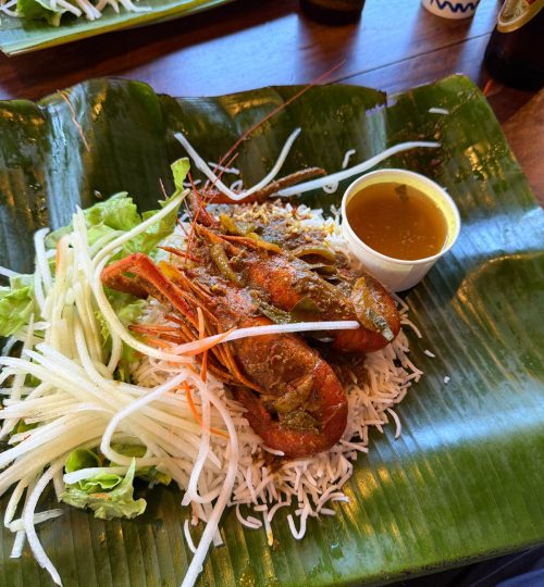 whatsapp image 2025 12 31 at 4.33.56 pm (1)