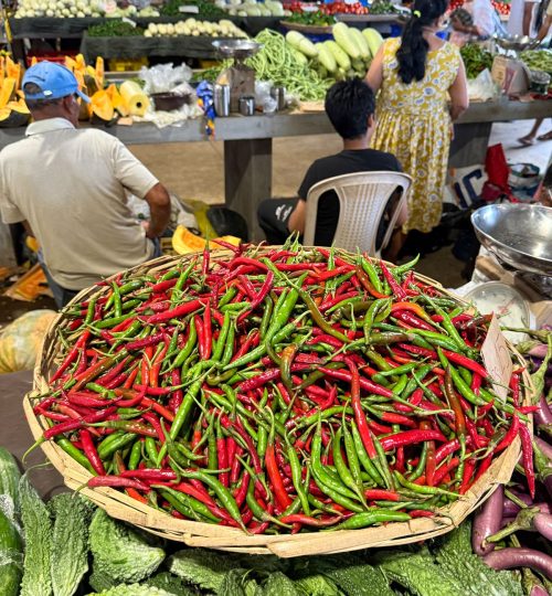 whatsapp image 2025 12 31 at 4.33.56 pm (3)