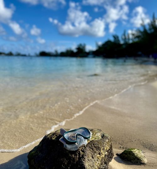 whatsapp image 2025 12 31 at 4.33.57 pm (1)