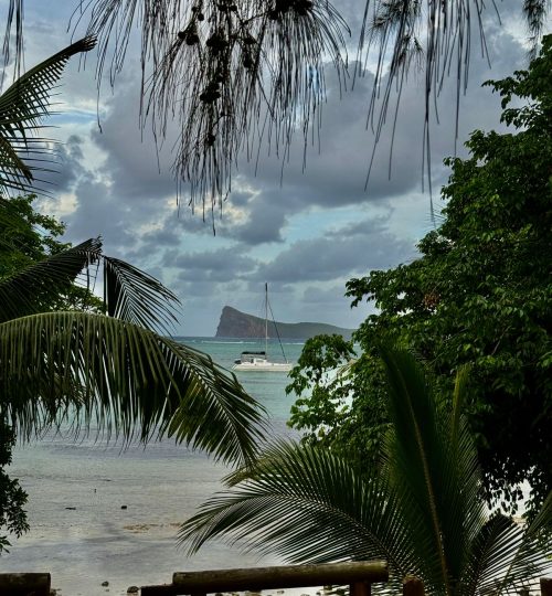 whatsapp image 2025 12 31 at 4.33.58 pm (1)