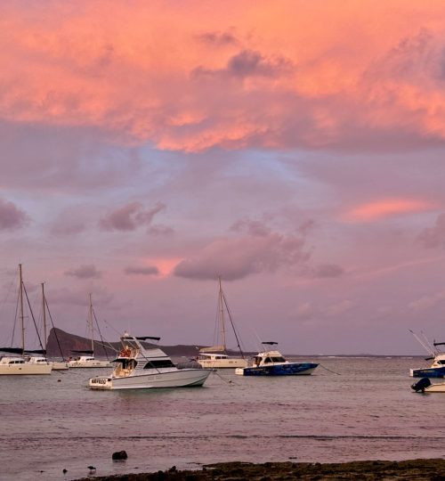 whatsapp image 2025 12 31 at 4.33.58 pm (2)