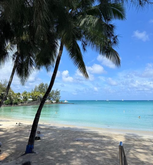 whatsapp image 2025 12 31 at 4.33.58 pm (3)