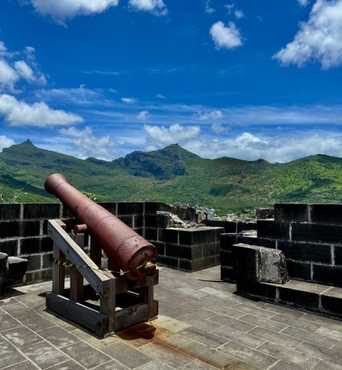 whatsapp image 2025 12 31 at 4.33.58 pm