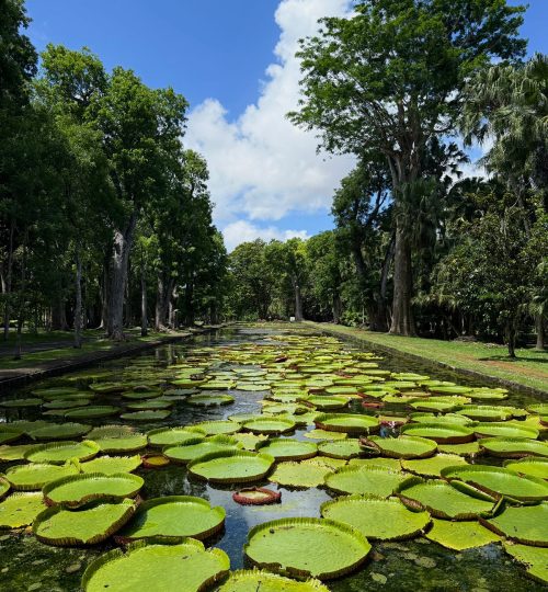 whatsapp image 2025 12 31 at 4.33.59 pm