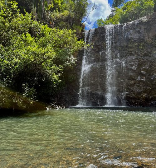 whatsapp image 2025 12 31 at 4.34.00 pm (1)