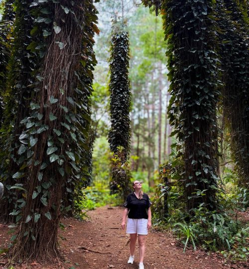 whatsapp image 2025 12 31 at 4.34.00 pm (2)