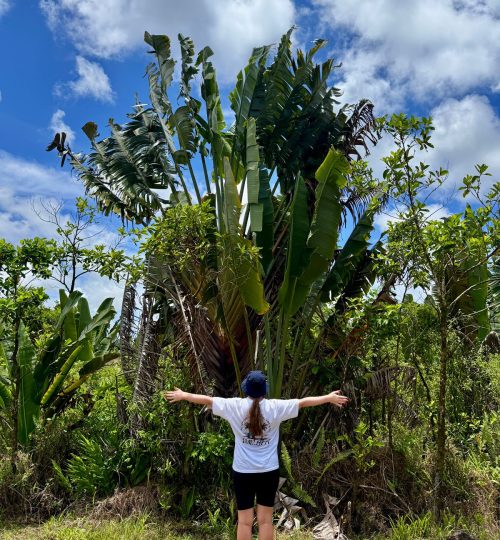 whatsapp image 2025 12 31 at 4.34.00 pm