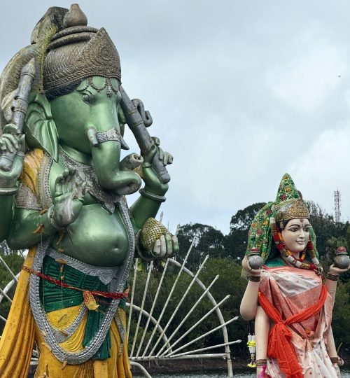 whatsapp image 2025 12 31 at 4.34.01 pm (1)