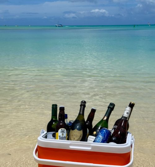 whatsapp image 2025 12 31 at 4.34.02 pm (1)