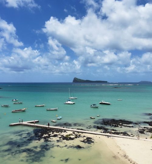 whatsapp image 2025 12 31 at 4.34.07 pm (3)