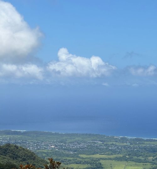 whatsapp image 2026 01 26 at 11.55.17 am