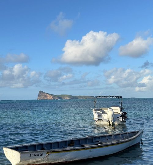 whatsapp image 2026 01 26 at 11.55.18 am (1)