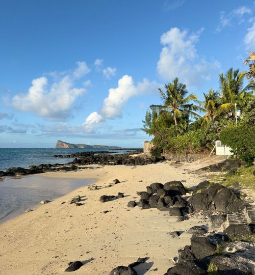 whatsapp image 2026 01 26 at 11.55.18 am