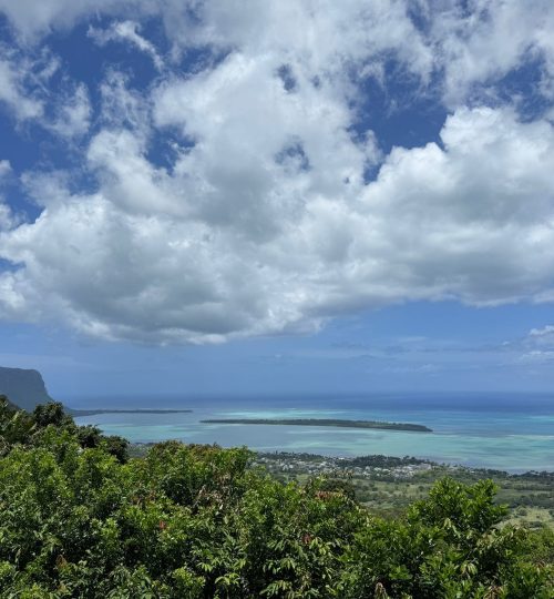 whatsapp image 2026 01 26 at 11.55.19 am (1)