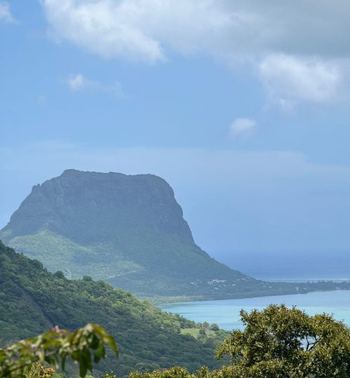 whatsapp image 2026 01 26 at 11.55.19 am