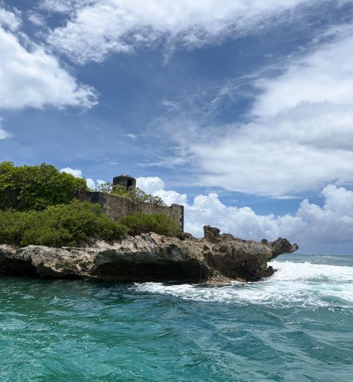 whatsapp image 2026 01 26 at 11.55.21 am (1)