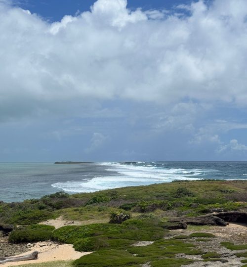 whatsapp image 2026 01 26 at 11.55.21 am (2)