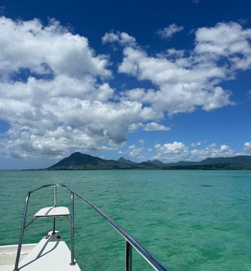 whatsapp image 2026 01 26 at 11.55.24 am