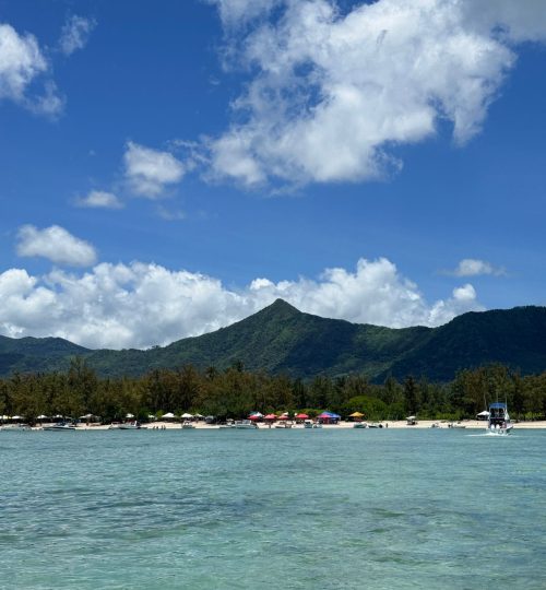 whatsapp image 2026 01 26 at 11.55.26 am