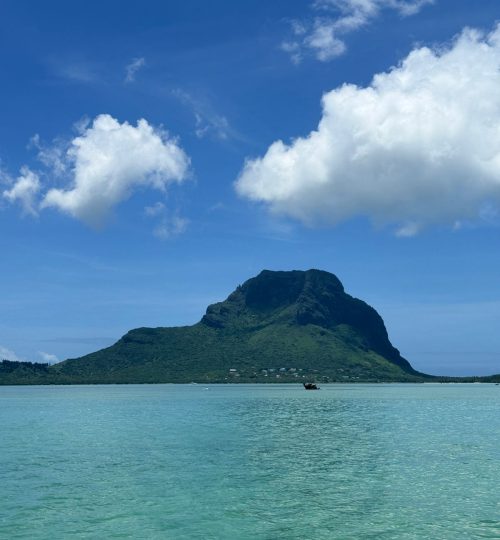 whatsapp image 2026 01 26 at 11.55.28 am (2)