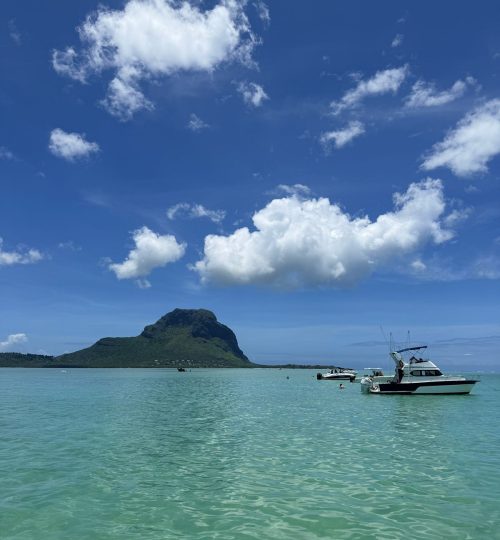 whatsapp image 2026 01 26 at 11.55.28 am