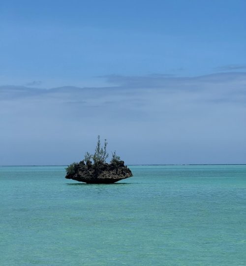 whatsapp image 2026 01 26 at 11.55.29 am (1)