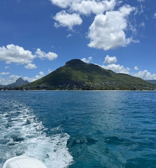 whatsapp image 2026 01 26 at 11.55.32 am (1)