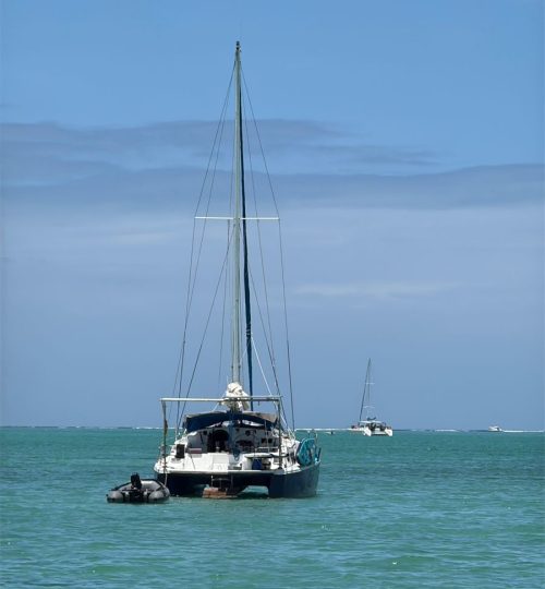 whatsapp image 2026 01 26 at 11.55.32 am