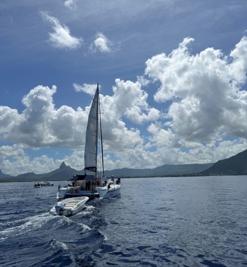 whatsapp image 2026 01 26 at 11.55.34 am (1)