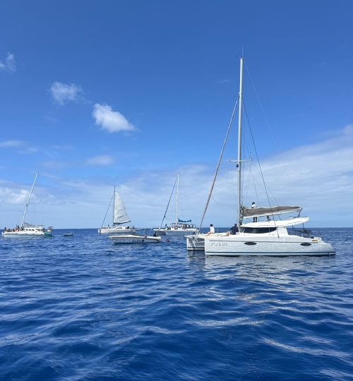 whatsapp image 2026 01 26 at 11.55.35 am